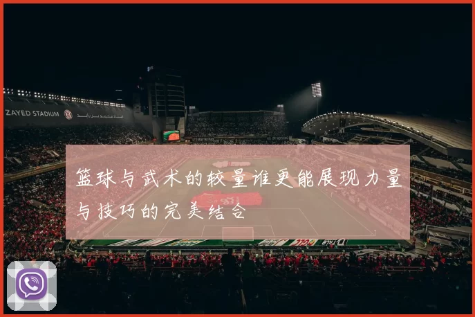 篮球与武术的较量谁更能展现力量与技巧的完美结合