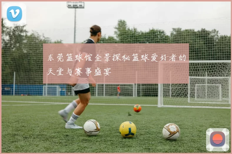 东莞篮球馆全景探秘篮球爱好者的天堂与赛事盛宴